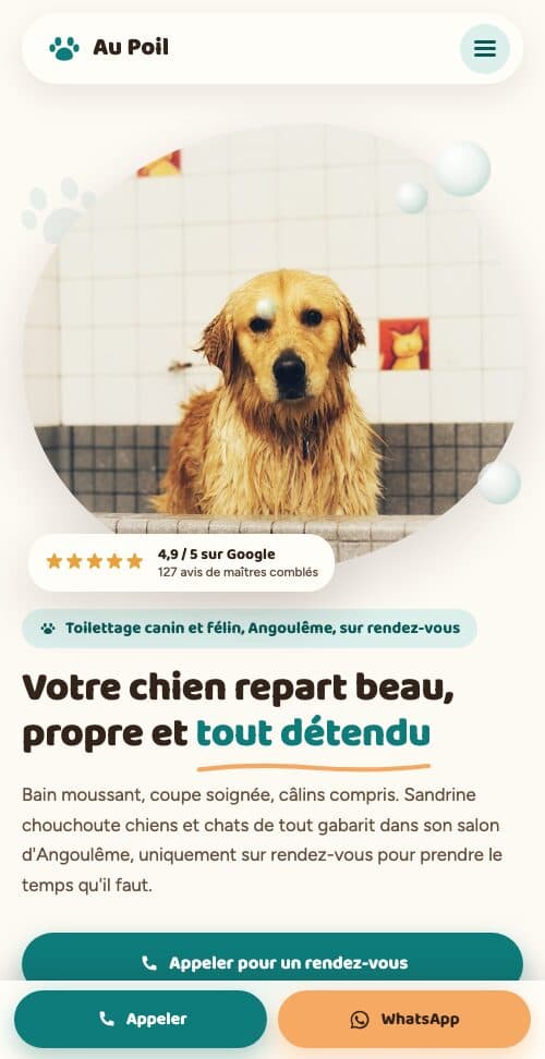 Accueil du site Au Poil sur téléphone